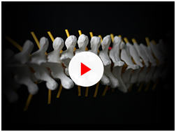 Patient Education Videos